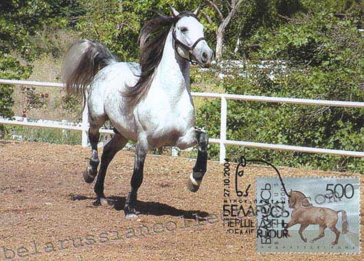 Andalusian horse
