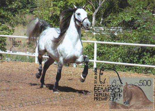 Andalusian horse