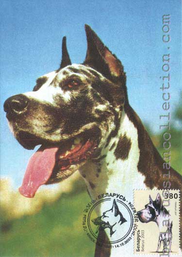 German Mastiff