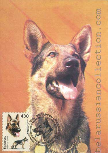 German Sheepdog